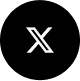 X (Twitter)